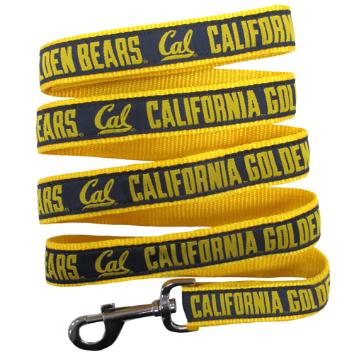 California Golden Bears - Leash
