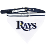 RAY-4005 - Tampa Bay Rays  - Collar Bandana