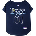 RAY-4006 - Tampa Bay Rays - Baseball Jersey