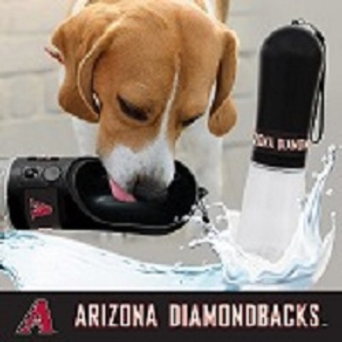Arizona Diamondbacks - Water Bottle