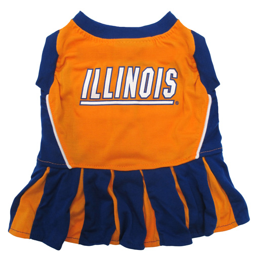 Illinois Fighting Illini - Cheerleader
