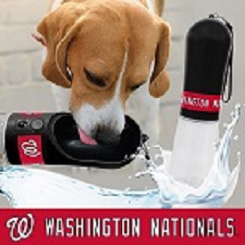 Washington Nationals - Water Bottle