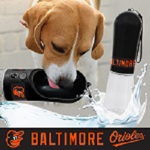 Baltimore Orioles - Water Bottle