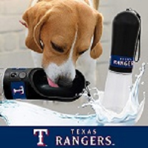 Texas Rangers - Water Bottle