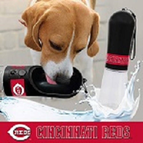 Cincinnati Reds - Water Bottle